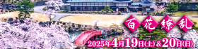 コスプレGIGin会津村34-20250419